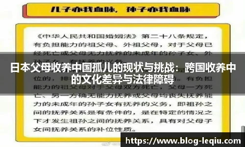 日本父母收养中国孤儿的现状与挑战：跨国收养中的文化差异与法律障碍