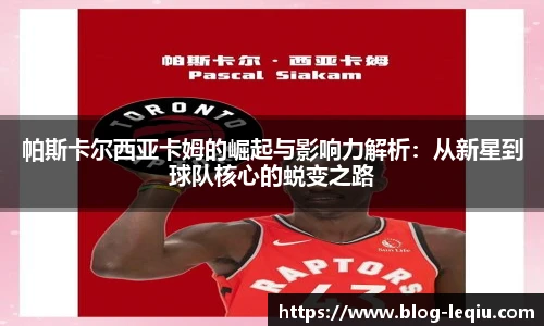 乐球体育直播